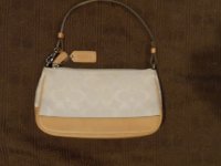 coach bag 001.JPG