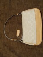 coach bag 003.JPG