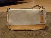 coach bag 004.JPG