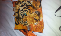 ForumRunner_20120908_142721.png