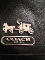 Coach 1.JPG