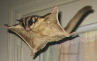 image-2392699164.jpg