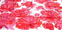 les pivoines 2006 detail.JPG