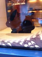 IMG_5759.jpg
