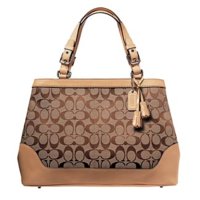 7052_SIGNATURE CARRYALL-d1.jpg