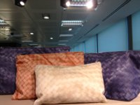 Bottega-Veneta-Flecht-Print-Modepilot.jpg