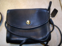 purse029.jpg