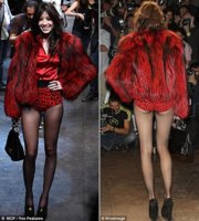 Daisy Lowe raccoon.jpg