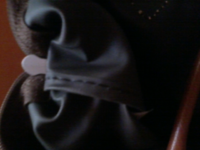 ForumRunner_20121021_155618.png