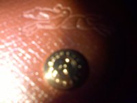IMG-20121020-01435.jpg