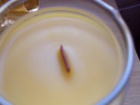 bees wax candles.jpg