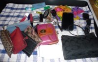 in purse.JPG