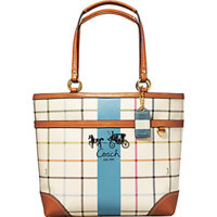 12561_HERITAGE STRIPE TATTERSALL TOTE-b4mc_a0_front.jpg