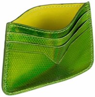 CreditCardCase-green2.jpg
