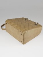 beige lady dior 3.jpg