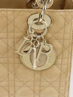 beige lady dior 5.jpg