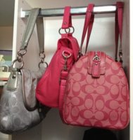 Purse Handbag Closet.jpg