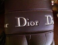 diot6.JPG