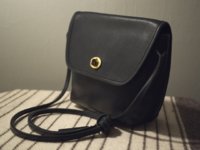coach_bag_4.jpg