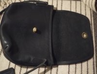 coach_bag_3.jpg
