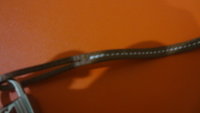 DSC03264.JPG