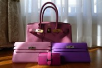 H Pink & Purple Family.jpg