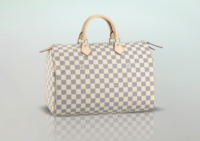 Louis Vuitton Speedy 35.png