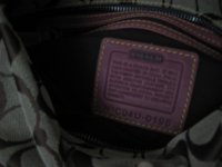 Picture 303.jpg