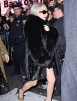 gaga_m.jpg