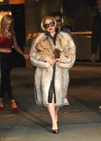 lady-gaga-fur-coat-1344935968-custom-0.jpg