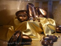 DSCF8748.jpg