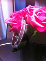 IMG-20121230-WA002.jpg