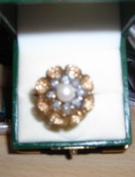 ring1 (459 x 600).jpg