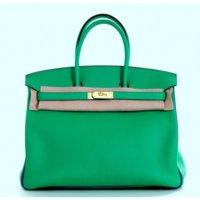 2-11721-220133--hermes-menthe-and-bleu-electrique-35-cm-togo-horseshoe-birkin----1a16.jpg