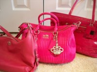 pinks5.jpg pinks5.jpg