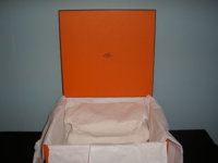 orange6.JPG