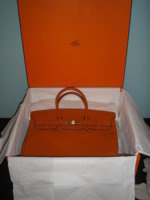 orange7.JPG