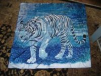 Tiger Bengal med.jpg