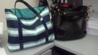 Tote and zoe.jpg