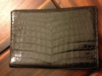 Black Alligator Back.jpg