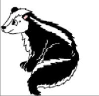 Picture 2.png