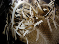DSCN2491.JPG