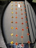 IMG_2877.jpg