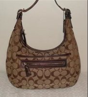 6045 -med SIG ZOE HOBO 11x8.jpg
