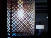 VCA Motif Light-2.JPG