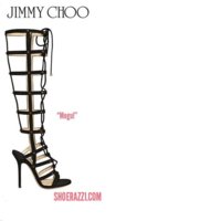 Jennifer Lopez Choo 2.jpg