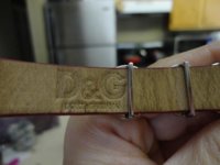 dg5.jpg