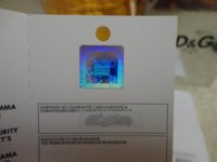 dg9.jpg