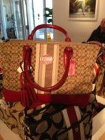 ImageUploadedByPurseForum1364522931.589650.jpg