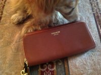 ImageUploadedByPurseForum1364524617.877271.jpg